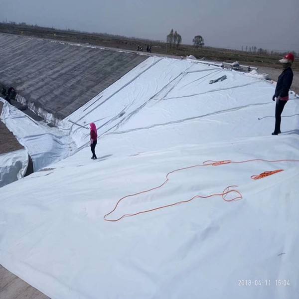 复合芭乐视视频下载膜